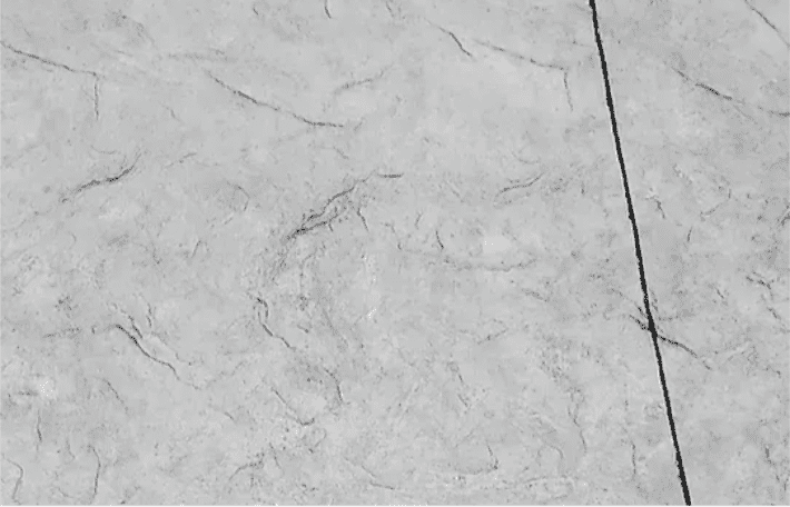 Screenshot 2025 03 09 at 5.54.58 PM